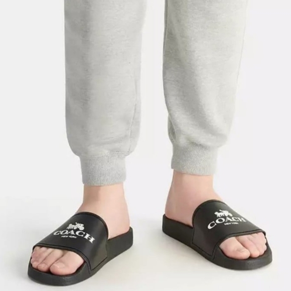 Coach slides - Picture 2 of 4